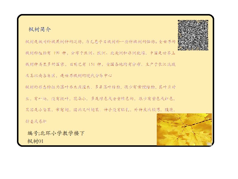 印偲媛.bmp
